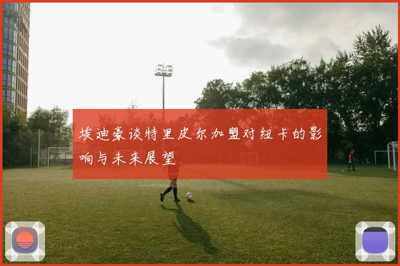 埃迪豪谈特里皮尔加盟对纽卡的影响与未来展望